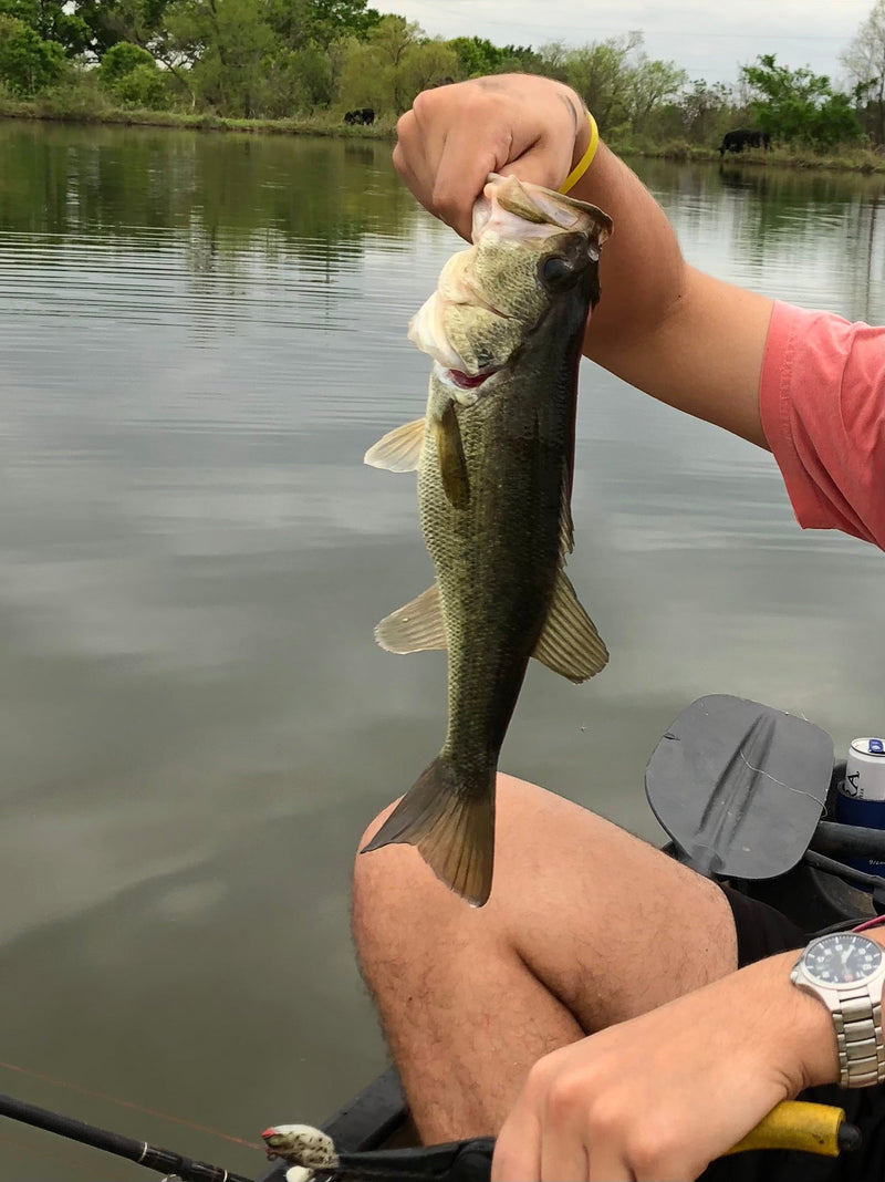 Fishing
